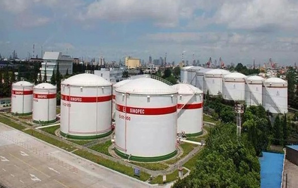 Perimeter intrusion protection